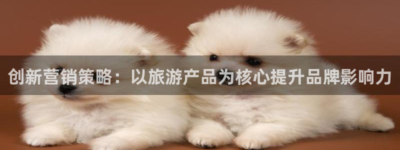 必赢下载安卓版最新版：创新营销