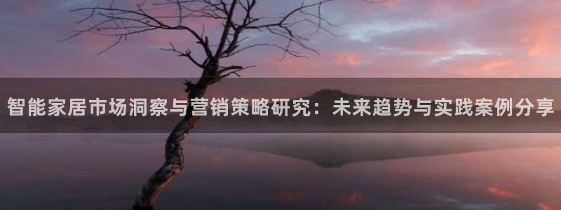 必赢下载ipad：智能家居市场