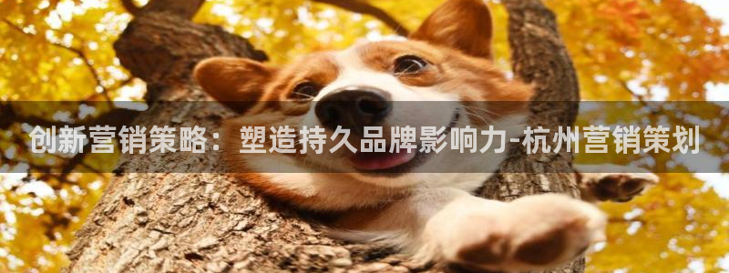 必赢下载苹果手机app：创新营