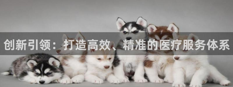 必赢官网下载app