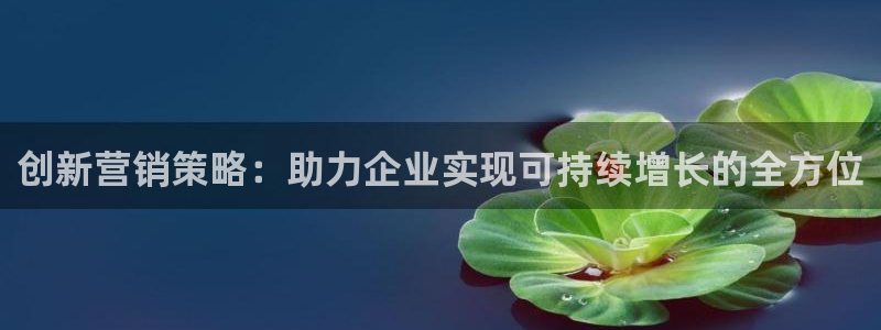 必赢国际437官网版：创新营销