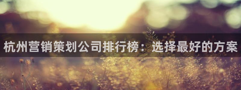 必赢线上网址查询：杭州营销策划