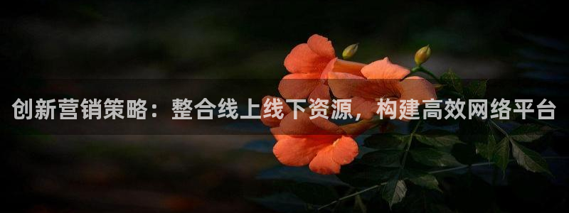 必赢官网app下载安装最新版：