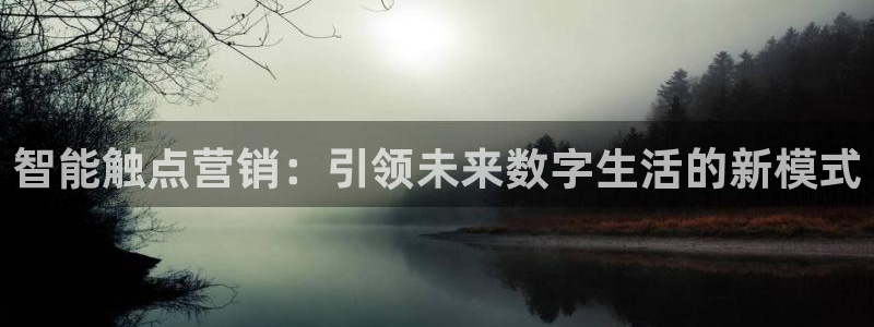 必赢集团网站首页：智能触点营销