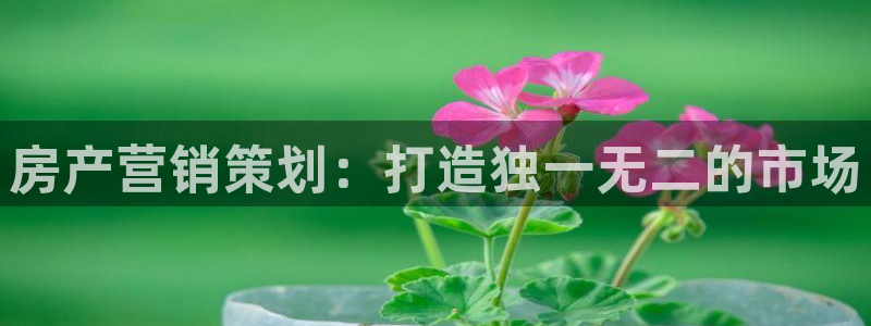 必赢国际怎么样：房产营销策划：