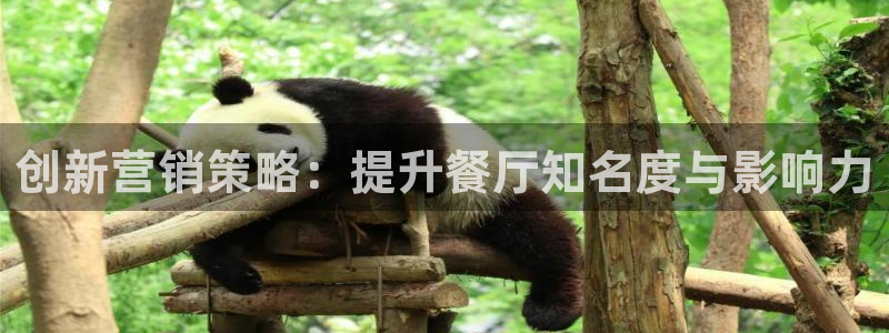 必赢科技有限公司