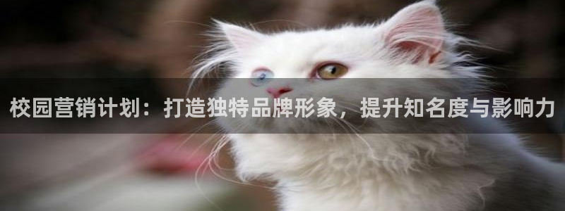 必赢国际游戏技巧