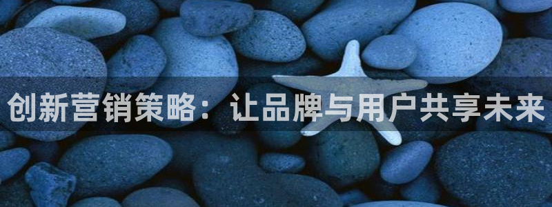 必赢app官方网站