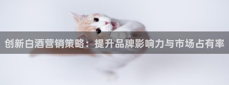 必赢国际官网登录