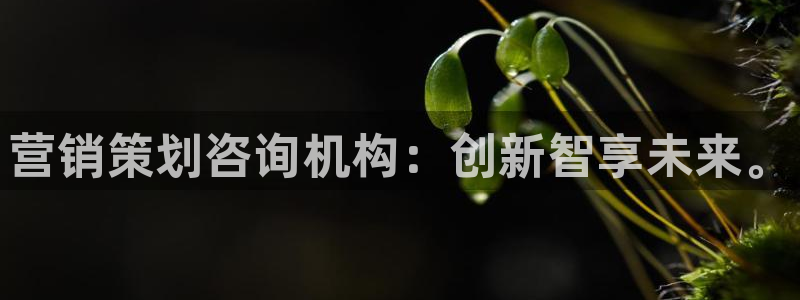 必赢3003必赢贵族宾会