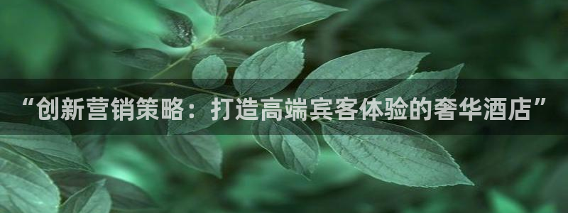 数30技巧必赢三个数：“创新营